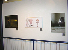 Arte Laguna 07 - Ausstellung der Finalisten in Mogliano Veneto Arte Laguna 07 - Ausstellung der Finalisten in Mogliano Veneto